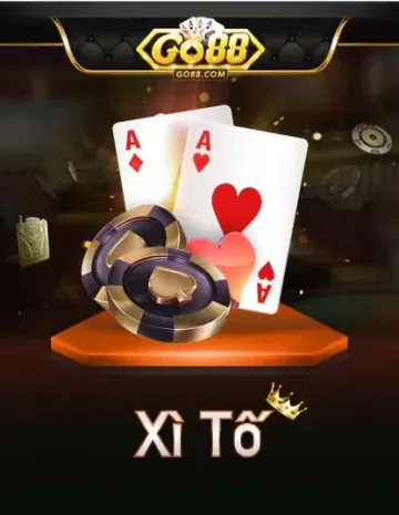 Gõ Xỉ To Portrait