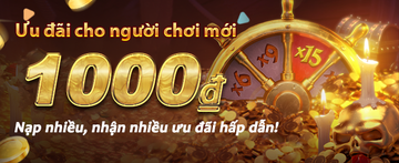 Promoção especial 811bet